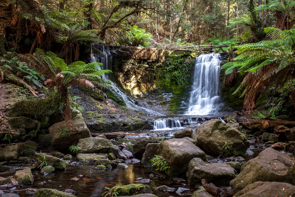 Mount Field, Mt Wellington & Wildlife Sanctuary Tour From Hobart
