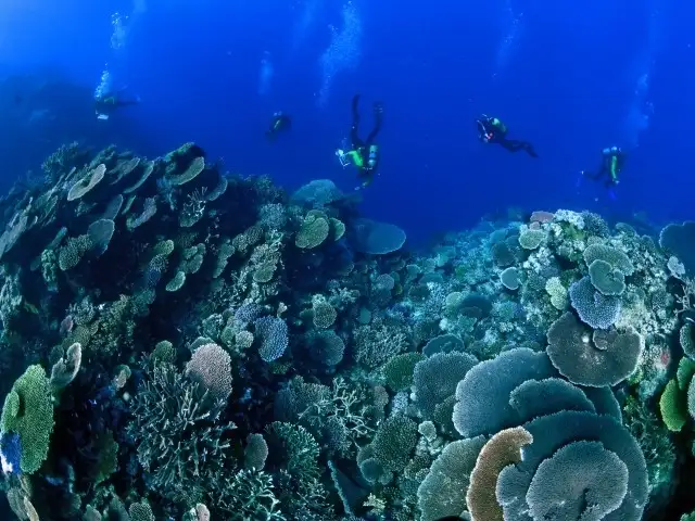 3 Day Outer Reef Cruise | on Kiana
