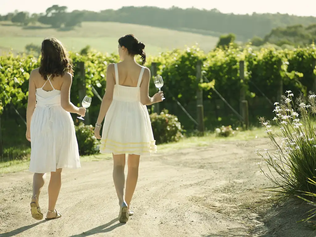 Yarra Valley Wine Grazing Tour | From Melbourne