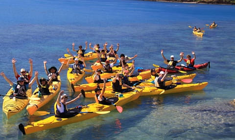 Half Day Sea Kayaking Tour