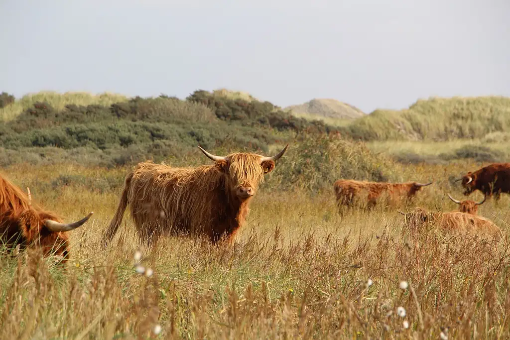 3-Day Skye High Tour | Edinburgh to Edinburgh | Haggis Adventures