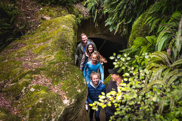 Te Anau rainforest tour