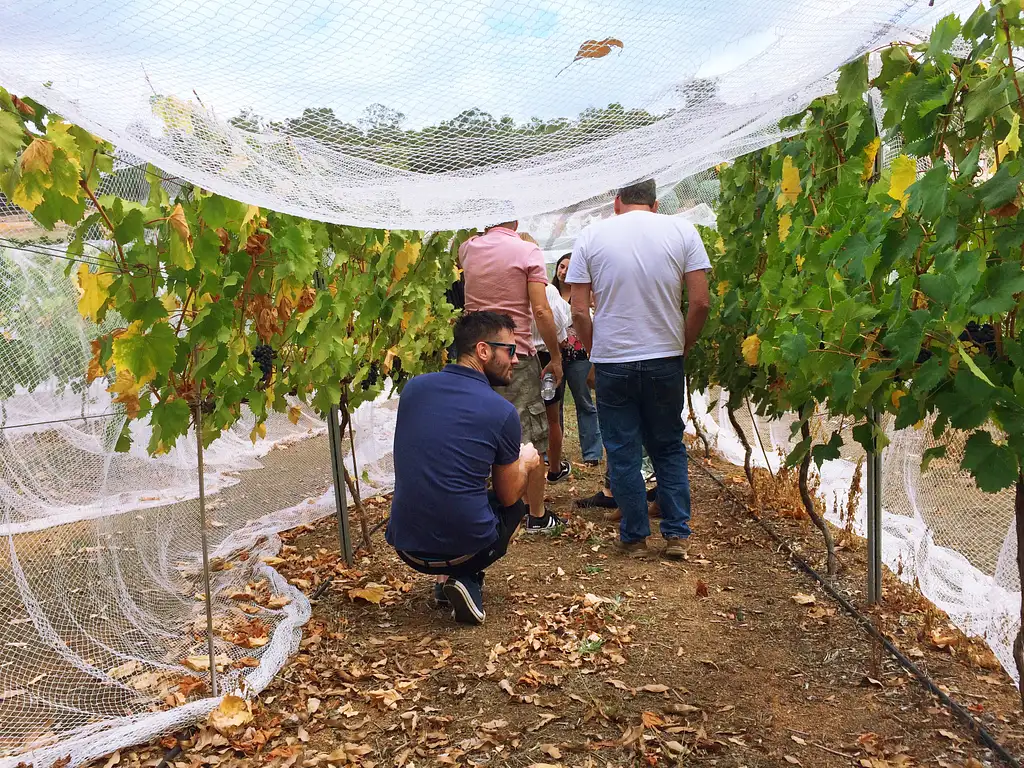Cider, Wine and Whiskey Full Day Tour from Perth
