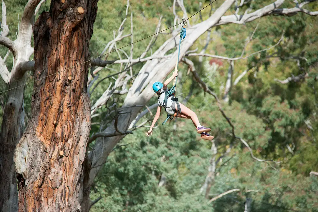 Mount Lofty Adventure Hub | Rock Climbing + Zipline & Mega Swing