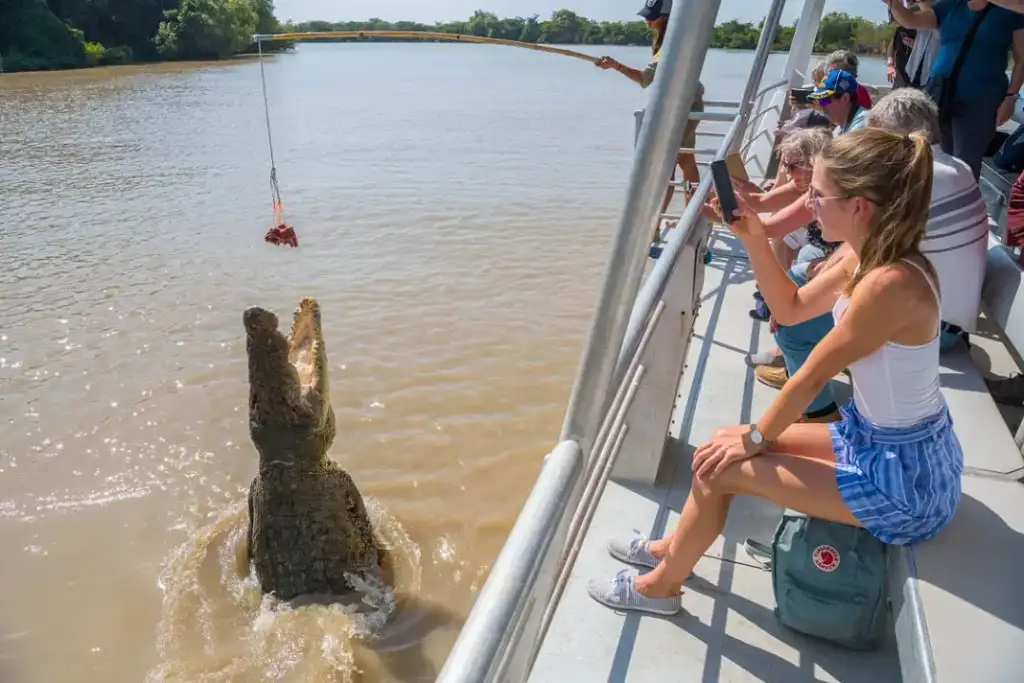 Jumping Crocodile Tour | From Darwin (BDTNT20DAY)