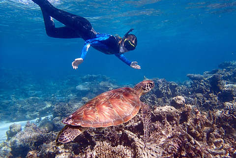 8 day ningaloo reef and pilbara adventure