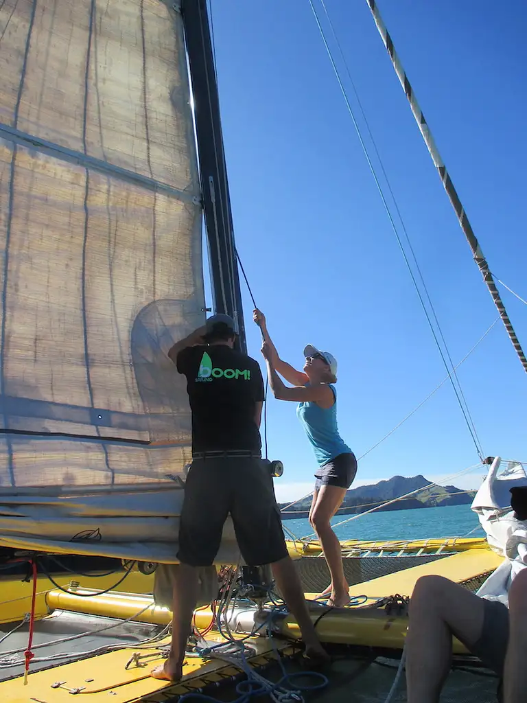Morning Glory Chilled-out Coromandel Sail