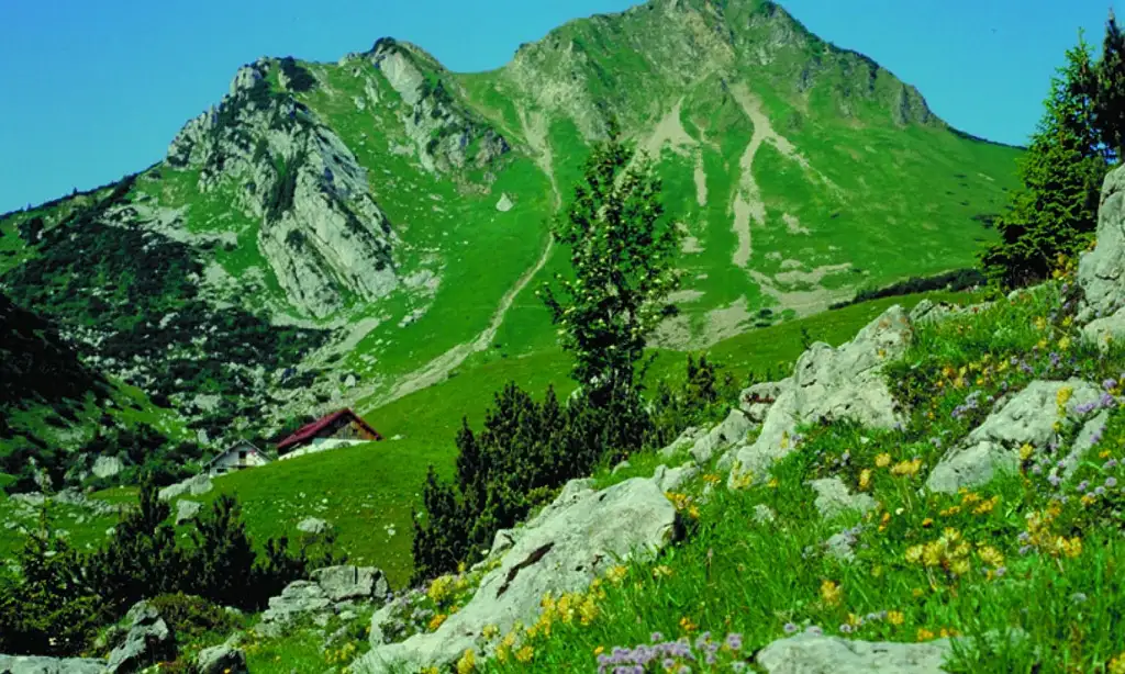Ettal Monastery and Zugspitze Day Tour