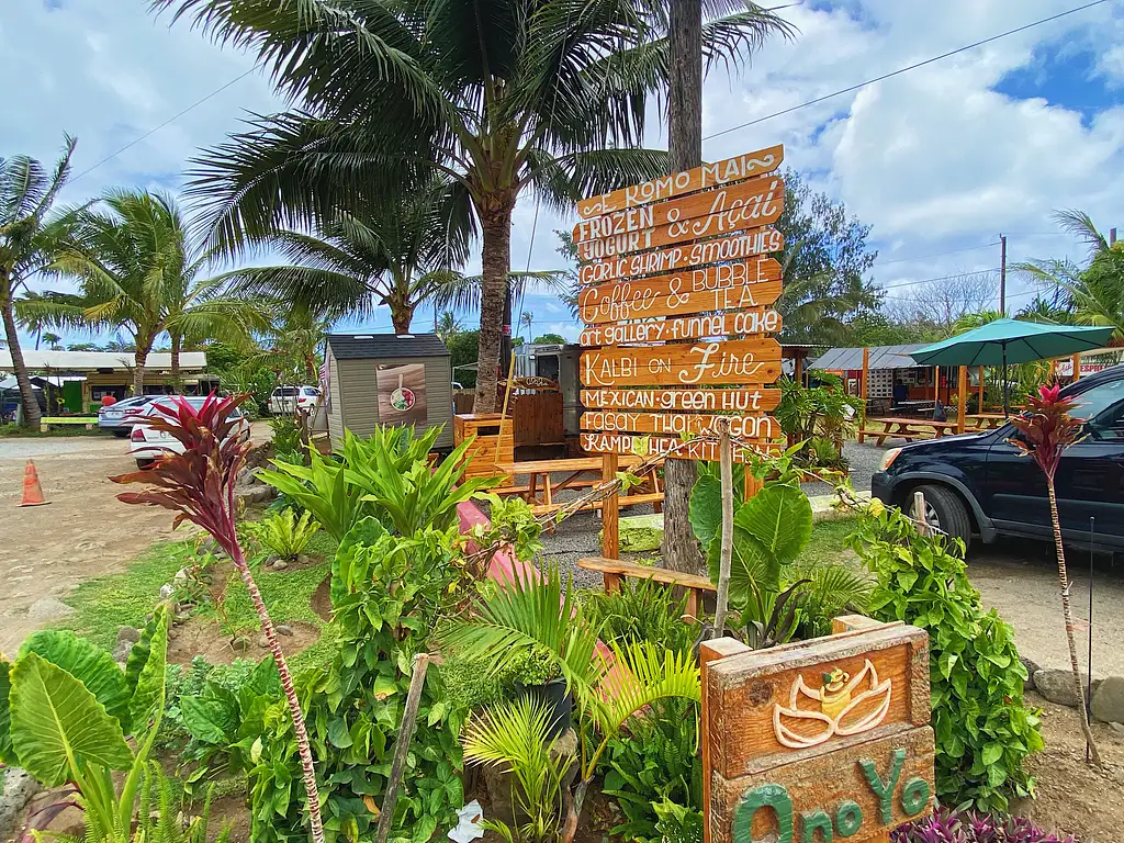 Diamond Head Hiking and Oahu Island Experience feat. North Shore
