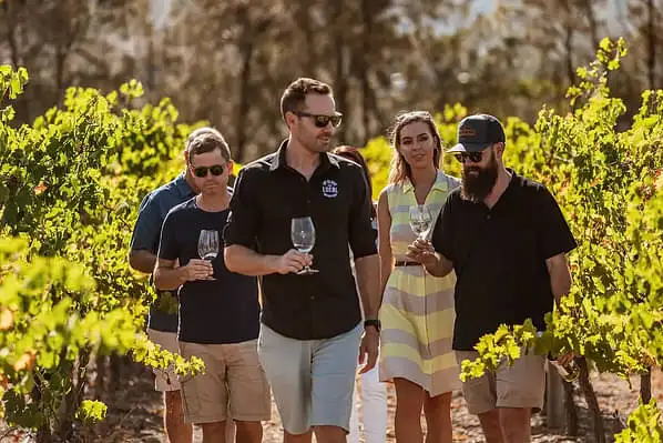 A group of people walking through a green vineyard while enjoying a glass of wine each.