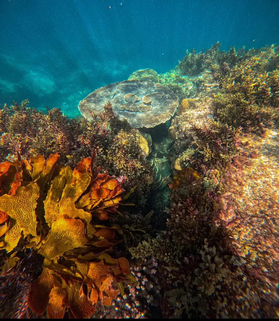 Jurien Bay Marine Park Experience