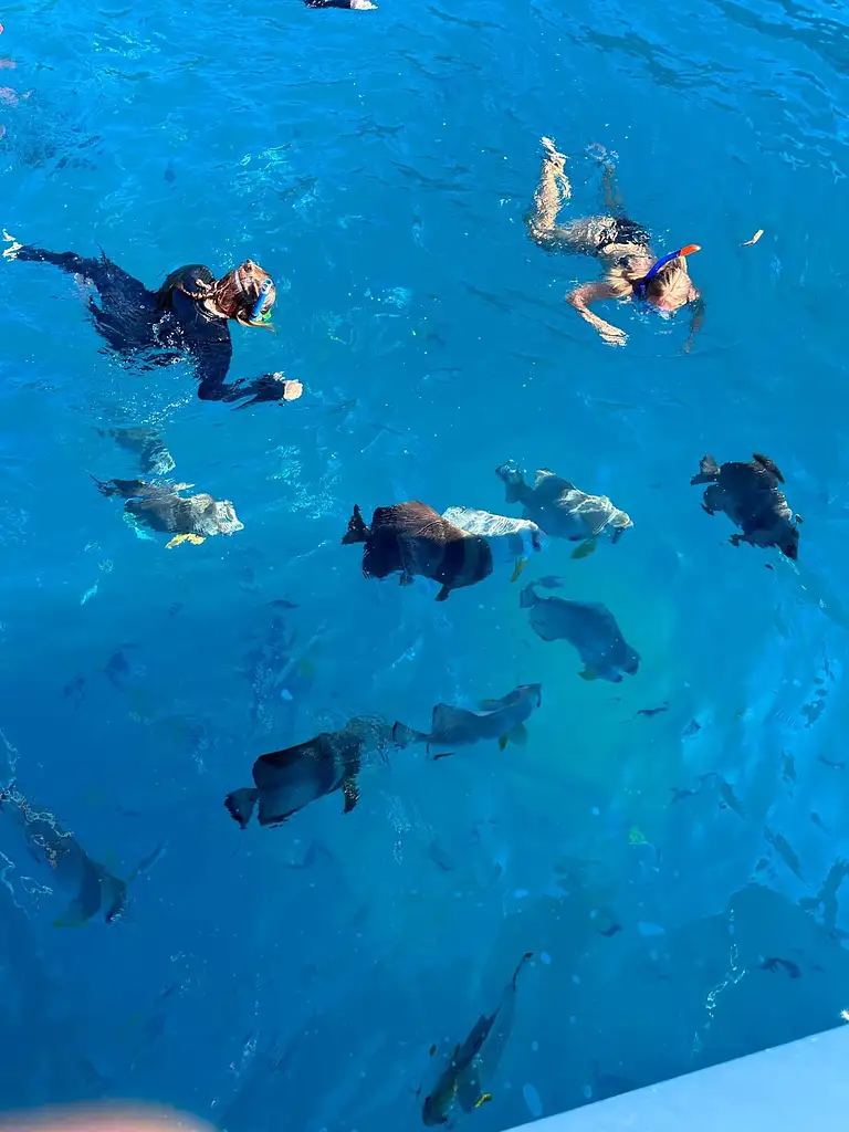 Avatar: 2-night Whitsunday Islands Sailing Adventure