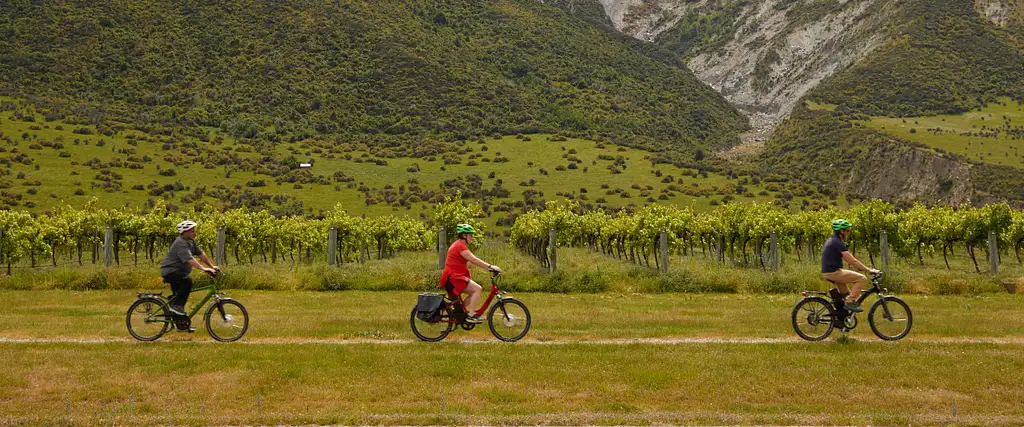 Guided Winery Tour by E-Bike | From Queenstown