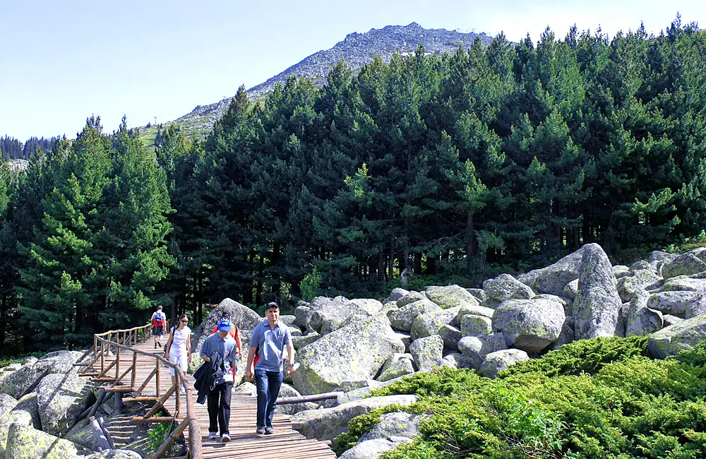 One-day Hiking Tour From Sofia To Vitosha Mountains