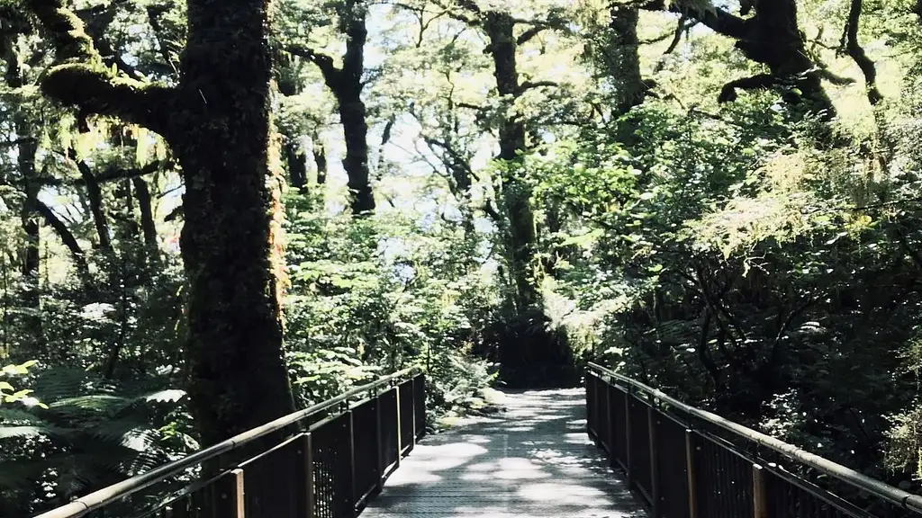 2 Day Fiordland Ultimate Combo Experience