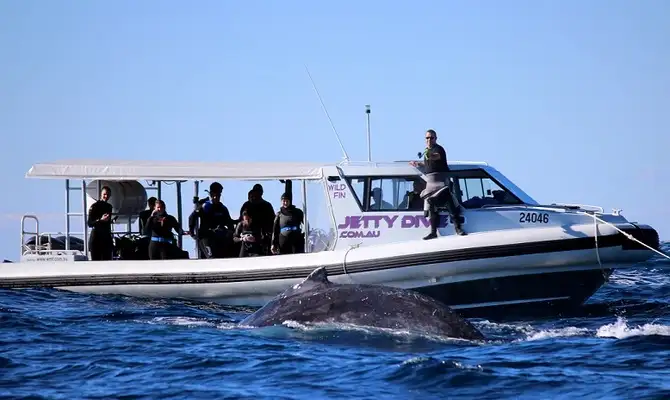 South Solitary Islands - Discover Scuba Diving Experience