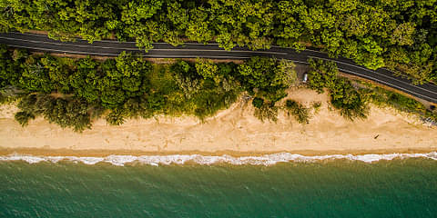 Premium Daintree & Cape Tribulation Day Tour deals