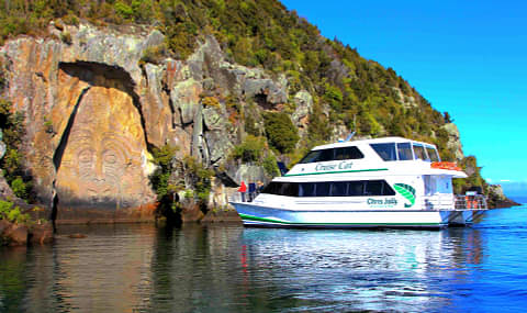 Maori Rock Carvings Tour