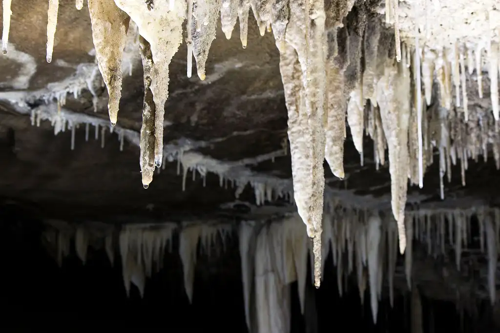 Glow Worm Cave Tour | West Coast