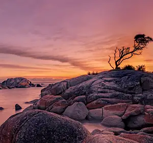Tasmania