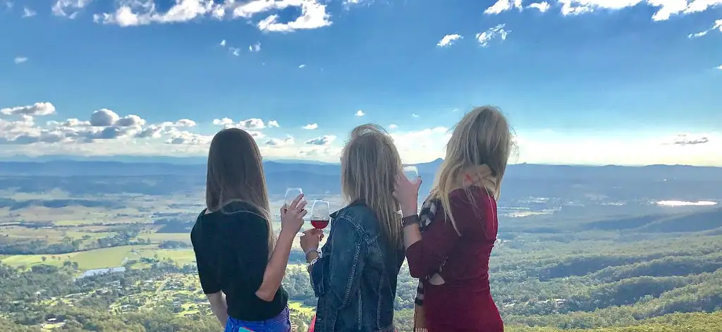 Full Day Vino Bus Winery Tour With Lunch ex Brisbane or Gold Coast
