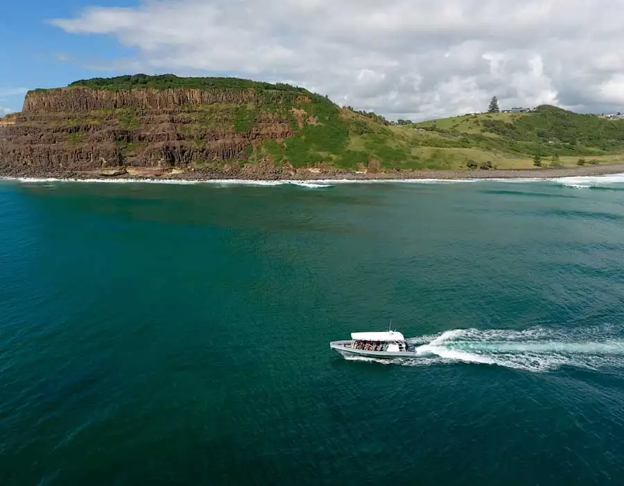Byron Bay Dolphin Cruise from Ballina