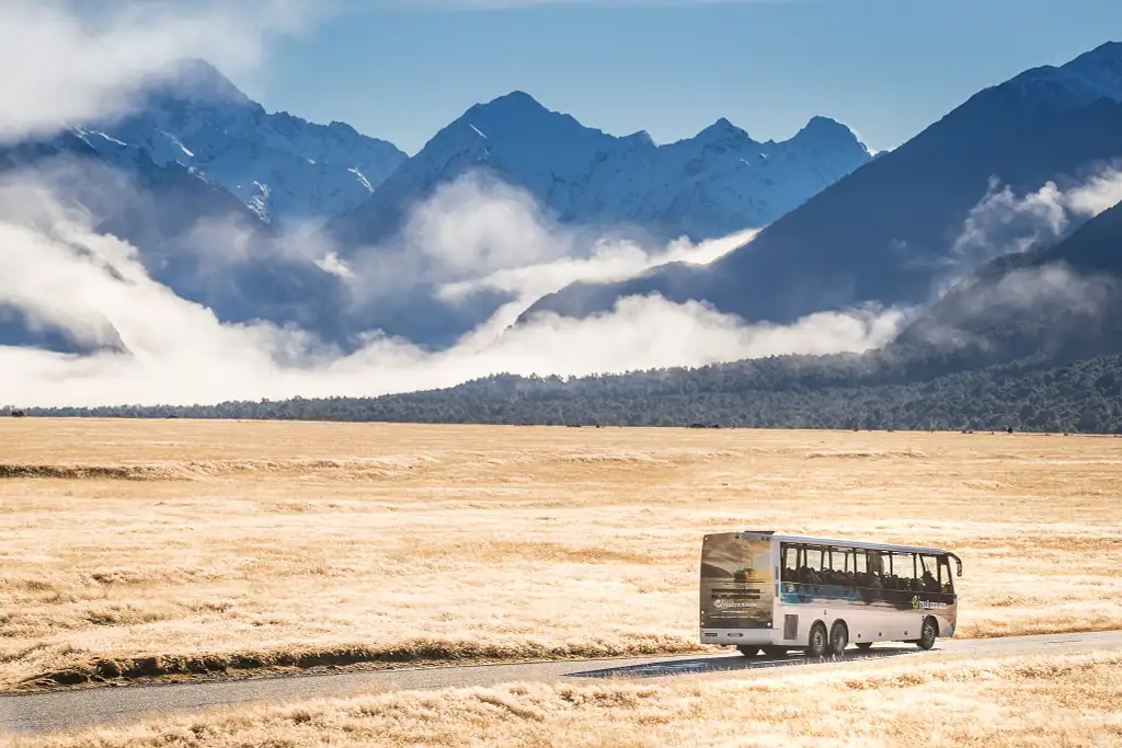 Milford Sound Overnight Cruise and Coach | From Queenstown or Te Anau
