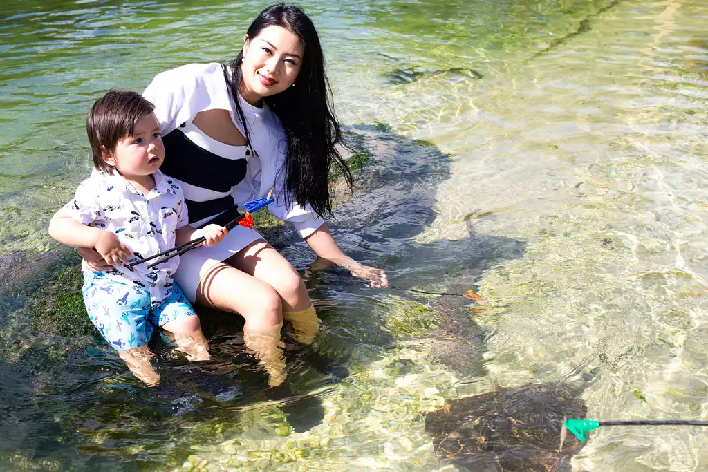 Irukandji Entry Pass with Shallows Encounter & Fish food