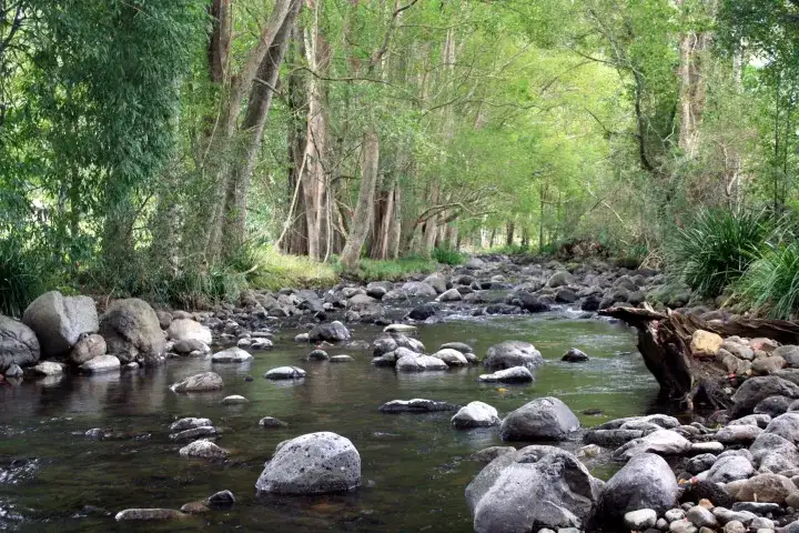 Indigenous Yarning Tour | Tweed Heads
