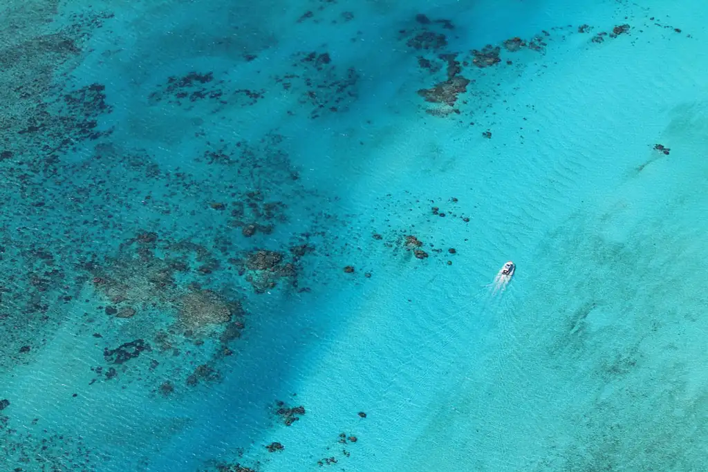 60 min Birds Eye View Ningaloo Microlight Lesson
