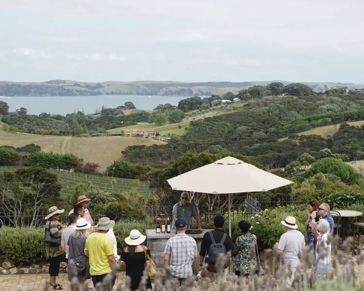 Zip, Wine and Dine - Waiheke Island package, Auckland ferry included