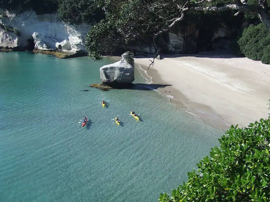 Remote Coast Kayak Tour