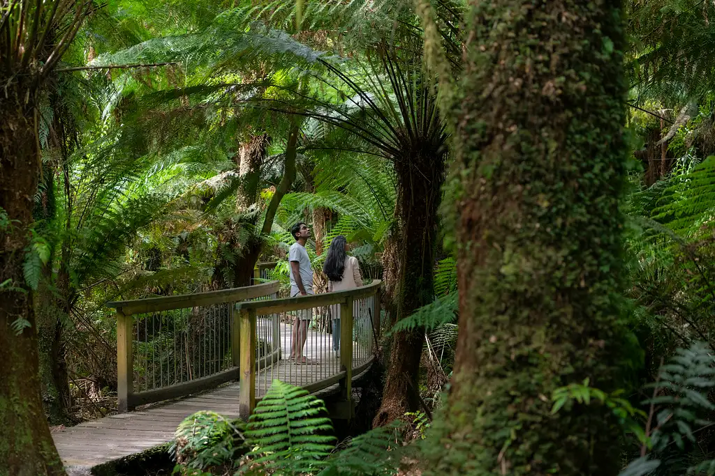 3 Day Great Ocean Road & Grampians Tour | Adelaide to Melbourne