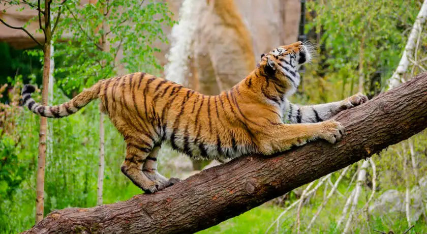 North India Adventure