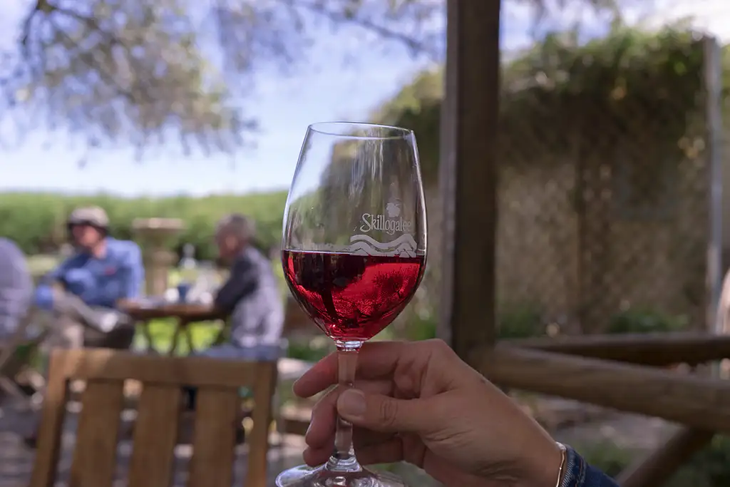 Bottled History Tour Clare Valley