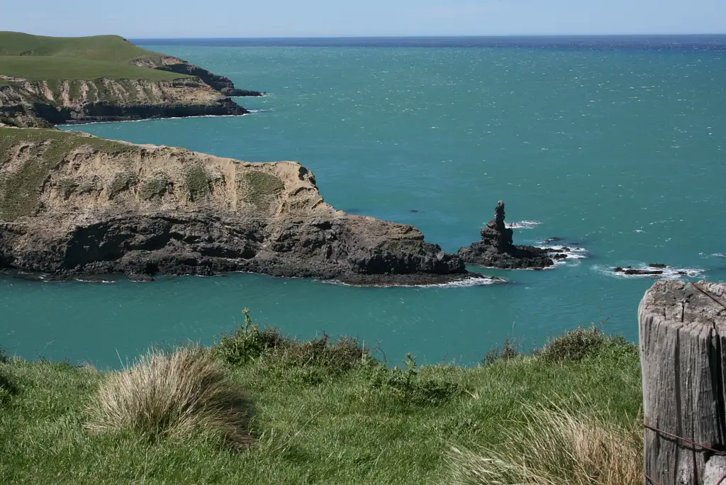 Akaroa Day Tour & Nature Cruise