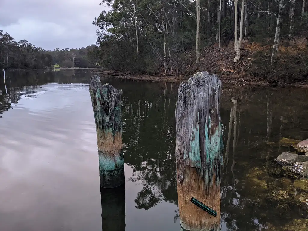 Self-Guided E-Bike Tour - Wagonga Wilderness Loop