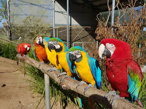 Maleny day tours