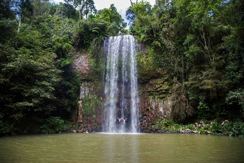15 Day Byron Bay to Cairns Tour (Roo) | Stray