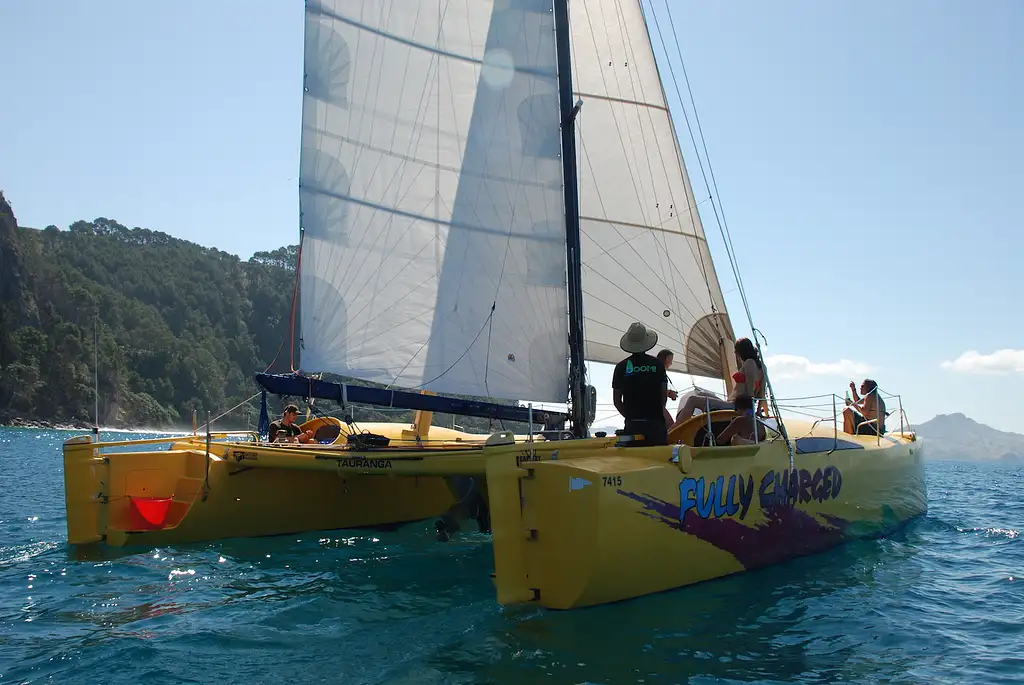 Arvo of Goodness Chilled-Out Coromandel Sail