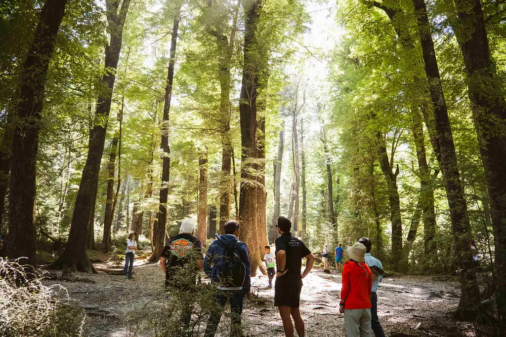 Glenorchy & Paradise Explorer | Small group tour