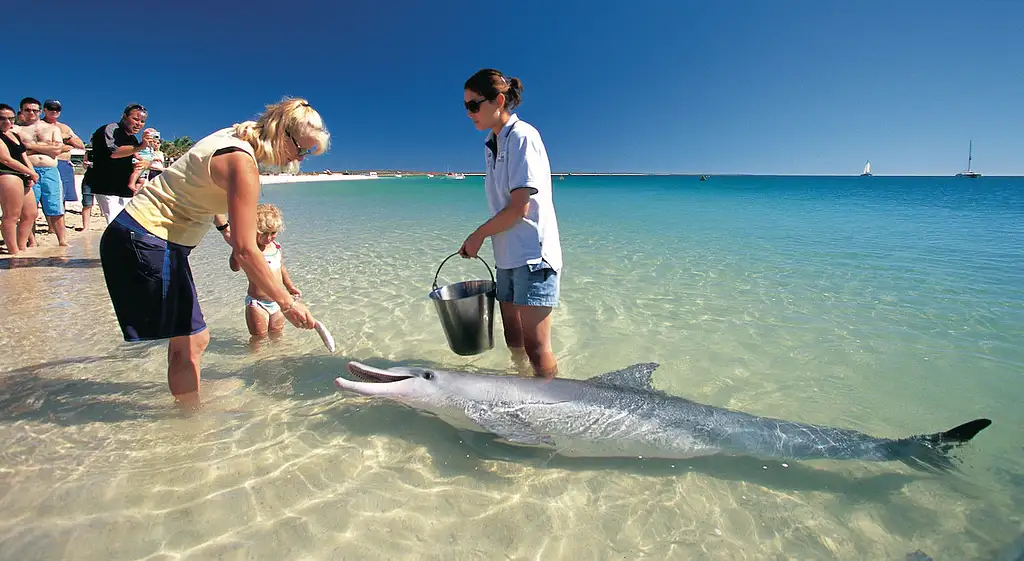 4 Day Perth to Monkey Mia Coastal Loop Return