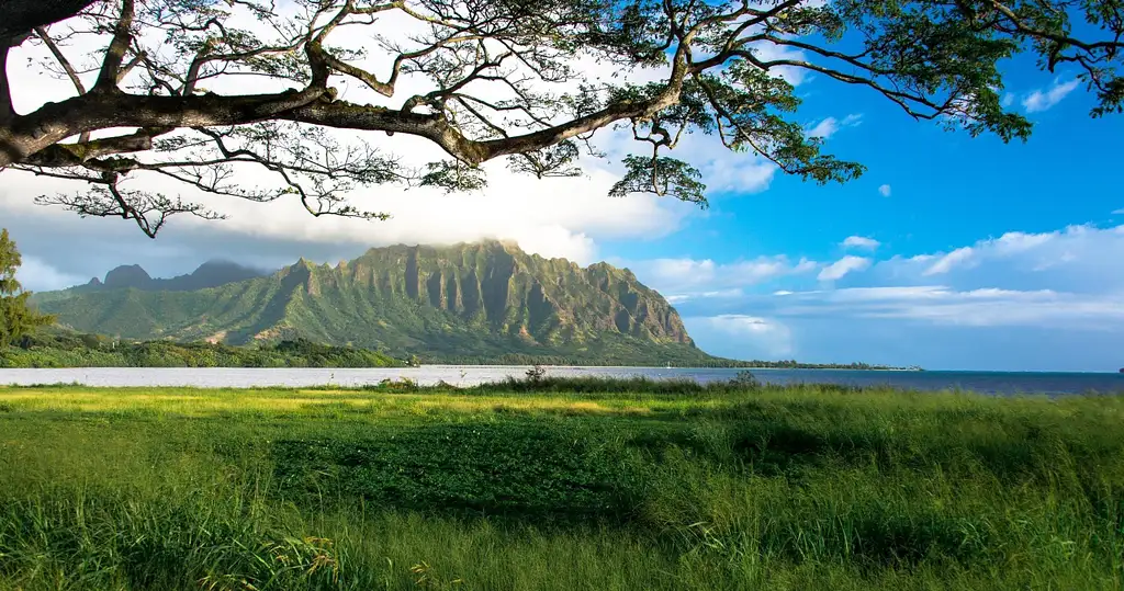 Oahu Island & Sunrise Photo Adventure