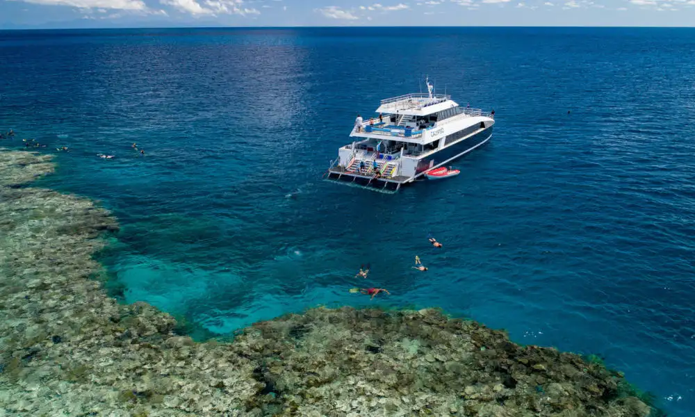 Calypso Outer Great Barrier Reef Snorkel Tour From Port Douglas