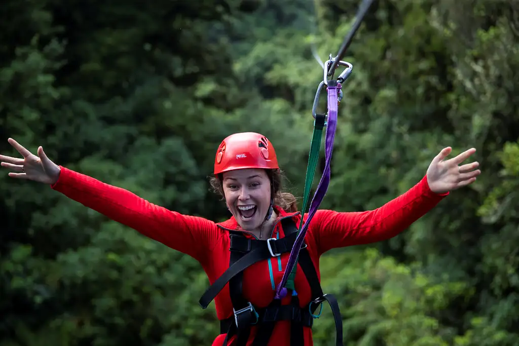 The Original Canopy Tour
