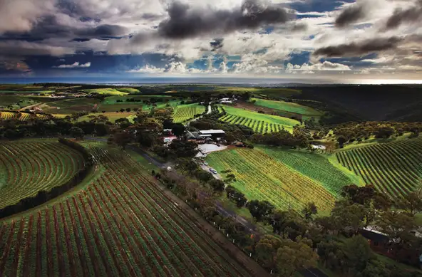 McLaren Vale North Hop-on Hop-off Tour