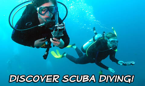 diving-instructions-coffs-harbour