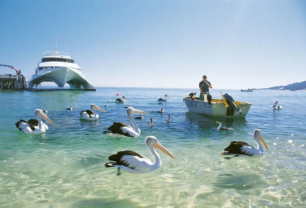 Tangalooma 2 Day Island Wild Dolphin Resort & Adventure tour