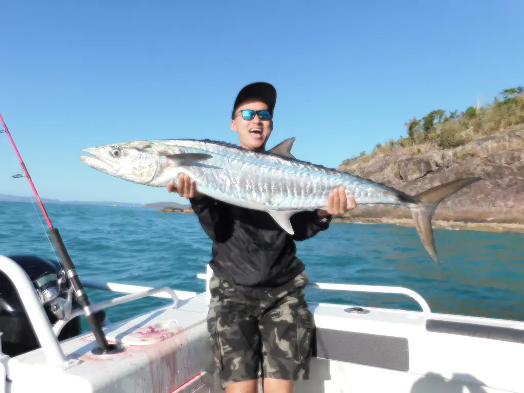 Airlie Beach Fishing - Half Day or Full Day Tour
