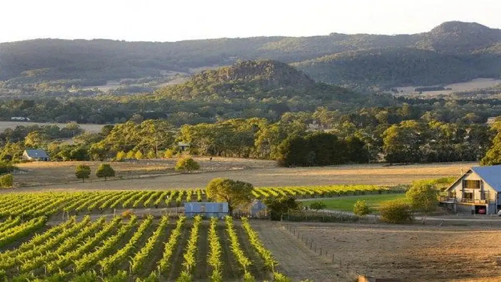 Yarra Valley Wineries Day Tour